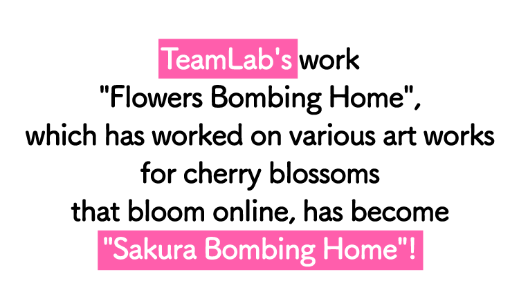オンラインで咲かせる花はチームラボの作品 Sakura Bombing Home