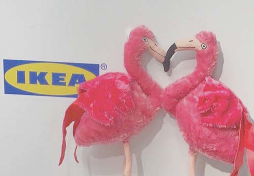 友達と Ikea に行くのが流行中 可愛く写真も撮れちゃうsns映え完璧なikeaの魅力って Emmary エマリー By Teamcinderella