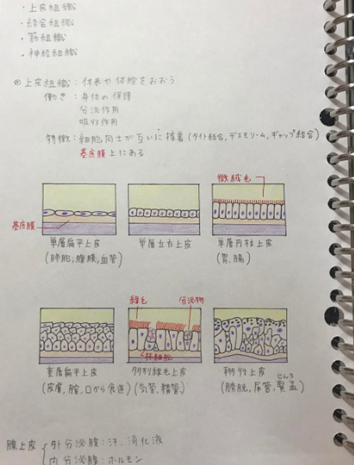 トップ100 ノート かわいい 書き方 全イラスト集